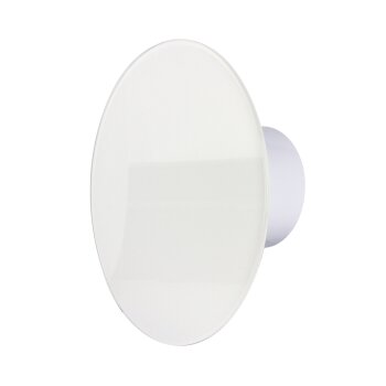 Badlüfter Ventilator Wandlüfter Glasfront Abluft Rückstauklappe weiß Ø 100 mm Feuchtesensor/Hygrostat glänzend mit Rückstauklappe