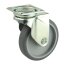 Transportrolle max. Traglast 80 kg Lenkrolle Gleitlager Bremsbar