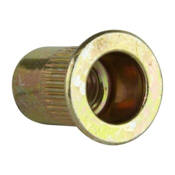 Blindnietmutter M10
