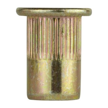 Blindnietmutter M10