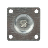 Anschraubplatte für Möbelrolle 42 x 42 mm 3