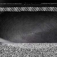 Abdeckkappe schwarz Ø 6 mm 3